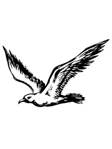 Albatross Stencil 2