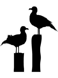 Albatross Stencil 9