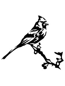Cardinal Stencil 10