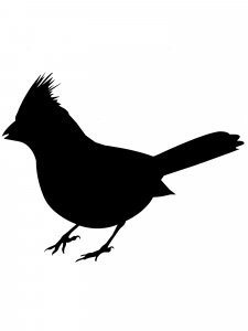 Cardinal Stencil 4