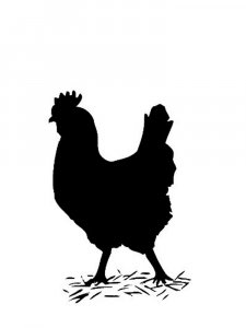 Chicken Stencils 1
