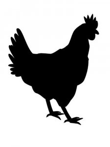 Chicken Stencils 2
