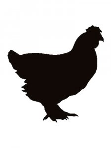 Chicken Stencils 3