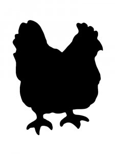 Chicken Stencils 30