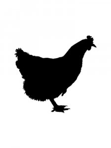 Chicken Stencils 7