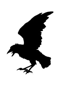 Crow Stencils 16