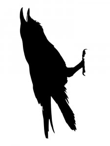 Crow Stencils 6