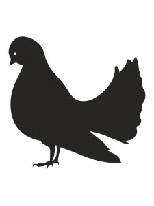 Dove Stencils 18