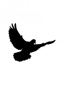 Dove Stencils 2