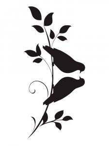 Dove Stencils 20