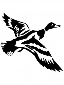 Duck Stencils 18