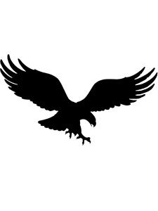 Eagle Stencils 20