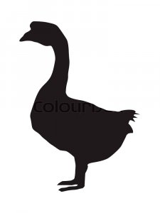 Goose Stencils 7