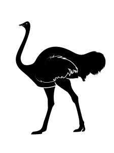 Ostrich Stencil 10