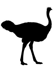 Ostrich Stencil 11
