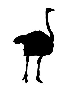 Ostrich Stencil 12