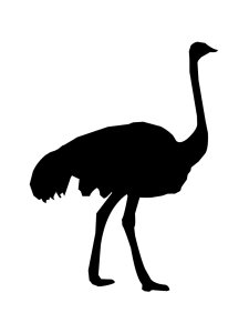 Ostrich Stencil 2