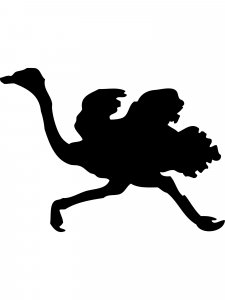 Ostrich Stencil 3