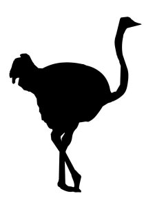 Ostrich Stencil 5