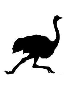 Ostrich Stencil 6