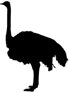 Ostrich Stencil 7