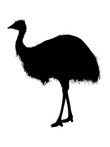 Ostrich Stencil 8