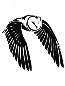 Owl Stencils 19