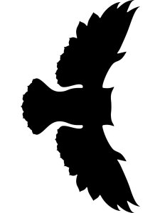 Owl Stencils 26