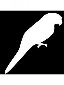Parrot Stencils 13