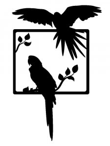 Parrot Stencils 5