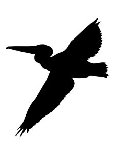 Pelican Stencil 11