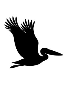 Pelican Stencil 12