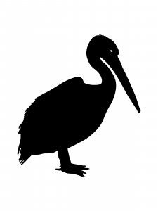 Pelican Stencil 13