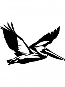 Pelican Stencil 2