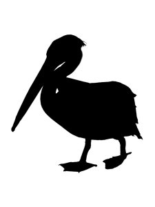 Pelican Stencil 3