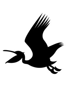 Pelican Stencil 5