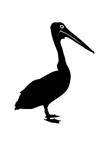 Pelican Stencil 8