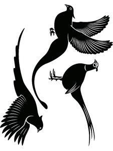 Pheasant Stencil 6