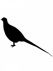Pheasant Stencil 7