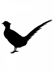 Pheasant Stencil 9