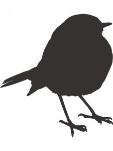 Sparrow Stencils 3