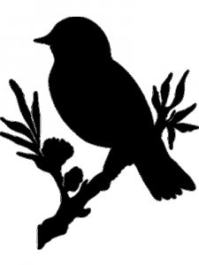Sparrow Stencils 5