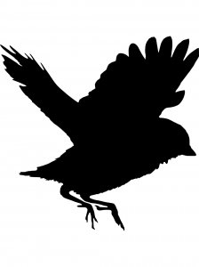 Sparrow Stencils 7