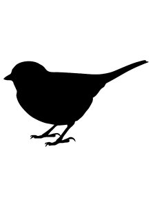 Sparrow Stencils 9