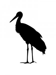 Stork Stencils 5