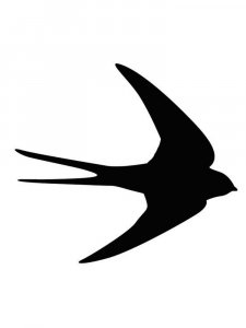 Swallow Stencils 11