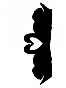 Swan Stencils 1