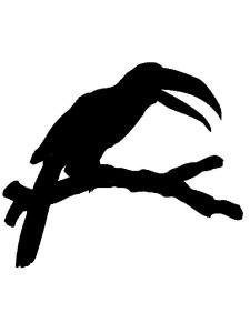 Toucan Stencil 14