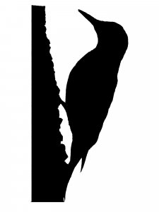 Woodpecker Stencil 1