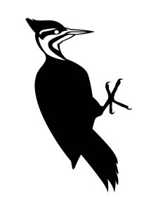 Woodpecker Stencil 2